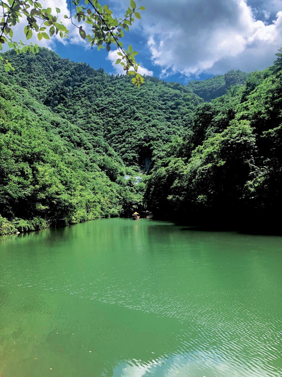 青山绿水好风光,有情之人不孤单猜一生肖详细解答、精准解答解释落实