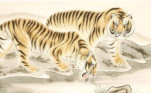 今期狗猴龙出特,四不两立长恨丽代表是指什么生肖精选解析、解释与落实、详细解答解释落实