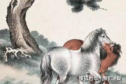 今期狗猴龙出特,四不两立长恨丽代表是指什么生肖精选解析、解释与落实、详细解答解释落实